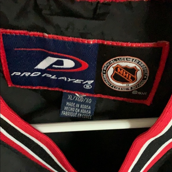 Detroit Red Wings NHL Proplayer pullover - Picture 2 of 3